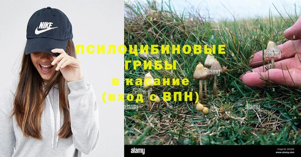альфа пвп Лиски