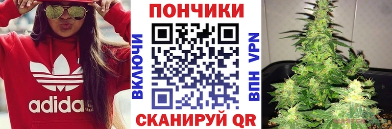 Конопля гибрид Ханты-Мансийск